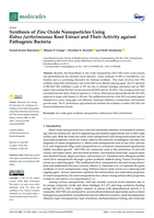 Synthesis of zinc oxide nanoparticles using rubus fairholmianus root extract and their activity against pathogenic bacteria