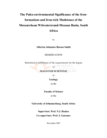 The Paleo-environmental significance of the iron-formations and iron-rich mudstones of the Mesoarchean Witwatersrand-Mozaan Basin, South Africa