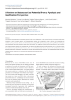 A Review on Botswana Coal Potential from a Pyrolysis and Gasification Perspective