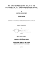 The effects of DDE on the health of the Mozambique Tilapia (Oreochromis mossambicus)