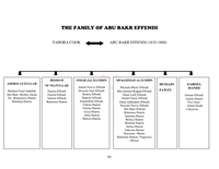 The life and contribution of the Osmanli scholar, Abu Bakr Effendi: towards Islamic thought and culture in South Africa