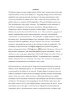 Geology and petrology of the Dabolava Region, West-Central  Madagascar, with emphasis on granite-hosted gold mineralization