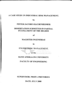 A case study in industrial risk management