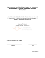 Examination of Candida albicans strains for cytotoxicity principles with particular reference to gliotoxin production