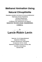 Methanol amination using natural clinoptilolite