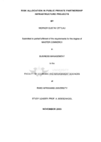 Risk allocation in public private partnership infrastructure projects