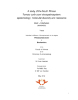 A study of the South African tomato curly stunt virus pathosystem: epidemiology, molecular diversity and resistance