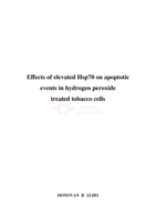 Effects of elevated Hsp70 on apoptotic events in hydrogen peroxide treated tobacco cells