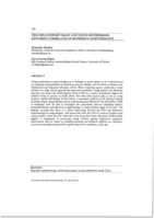 The child support grant and young motherhood : exploring correlates of depressive symptomology