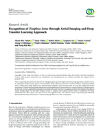 Recognition of Ziziphus lotus through Aerial Imaging and Deep Transfer Learning Approach