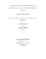 Active biomonitoring (ABM) of the Rietvlei Wetland System using antioxidant enzymes, non-enzymatic antioxidants and histopathology as biomarkers