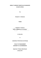 Mobility amongst senior black managers in South Africa