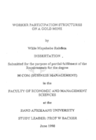 Worker participation structures on a gold mine