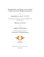 Entanglement and energy level crossing of spin and Fermi Hamilton operators