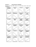 A process evaluation of a HR model for business excellence