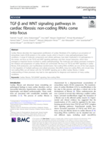 TGF-β and WNT signaling pathways in cardiac fibrosis: non-coding RNAs come into focus