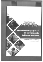 How stakeholder engagement has led us to reconsider definitions of rigour in systematic reviews