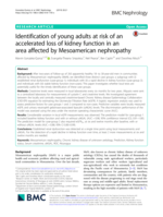 Identification of young adults at risk of an accelerated loss of kidney function in an area affected by Mesoamerican nephropathy