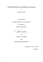 Information security in the client/server environment