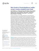 New fossils of Australopithecus sediba reveal a nearly complete lower back
