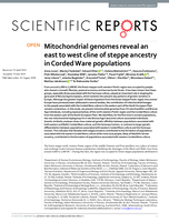 Mitochondrial genomes reveal an east to west cline of steppe ancestry in Corded Ware populations