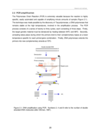 Molecular phylogenetics of Lachnaea (Thymelaeaceae) : evidence from plastid and nuclear sequence data.