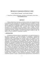 Mechanics of compression behaviour in shale