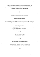 The pattern, causes and consequences of unemployment in the Molopo District of the North West Province