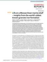 Life on a Mesoarchean marine shelf – insights from the world’s oldest known granular iron formation