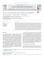 The role of UV and blue light in photo-eradication of microorganisms