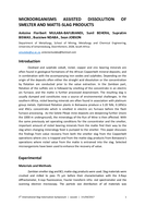 Microorganisms assisted dissolution of smelter and matte-slag products