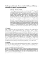 Challenges and strength of current industrial energy efficiency management practices in steam industries