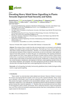 Decoding heavy metal stress signalling in plants : towards improved food security and safety