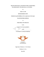 The psychologist-lawyer dynamic in industrial psychologists’ psycho-legal activities