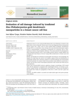 Evaluation of cell damage induced by irradiated Zinc-Phthalocyanine-gold dendrimeric nanoparticles in a breast cancer cell line