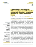 A metabolomics and molecular networking approach to elucidate the structures of secondary metabolite produced by Serratia marcescens strains
