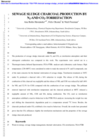 Sewage sludge charcoal production by N2-and CO2-torrefaction