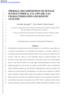 Thermal decomposition of sewage sludge under N2, Co2 and air : gas characterization and kinetic analysis
