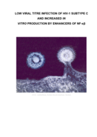 Low viral titre infection of HIV-1 subtype C and increased in vitro production by enhancers of NF-kB.