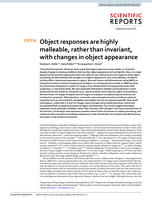 Object responses are highly malleable, rather than invariant, with changes in object appearance
