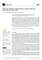 Molecular Effectors of Photodynamic Therapy-Mediated Resistance to Cancer Cells