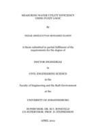 Measuring water utility efficiency using fuzzy logic