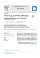 Datasets on the measurement of mechanical properties of ferrite and austenite constitutive phases using nanoindentation and micro hardness techniques