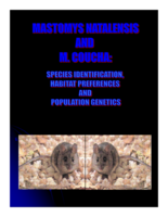 Mastomys natalensis and Mastomys coucha: identification, habitat preferences and population genetics