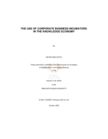The use of corporate business incubators in the knowledge economy