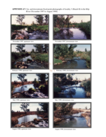 The ecological integrity of the Klip River and the development of a sensitivity weighted fish index of biotic integrity (SIBI)