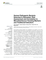 Human pathogenic bacteria detected in rainwater : risk assessment and correlation to microbial source tracking mark and traditional indicators