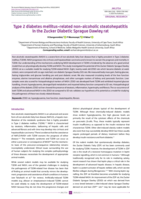 Type 2 diabetes mellitus-related non-alcoholic steatohepatitis in the Zucker Diabetic Sprague Dawley rat