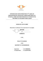 Synthesis and characterisation of ³²P labelled bisphosphonates conjugated carbon nanotubes as a potential chemo and radiotherapeutic system for the treatment of secondary bone cancer