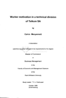 Worker motivation in a technical division of Telkom SA